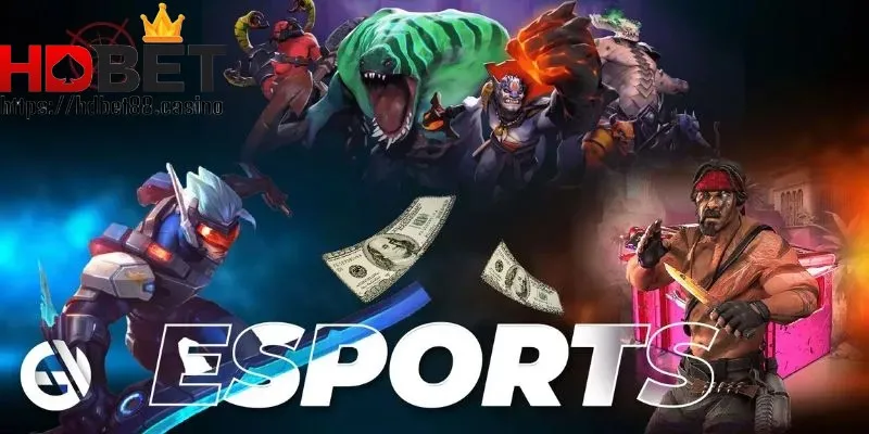 Cá cược Esports mang đến trải nghiệm hấp dẫn