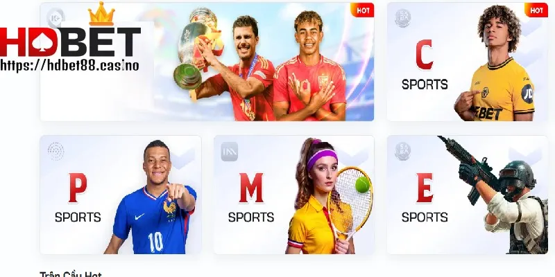 Đa dạng sảnh game cá cược được nhà cái kết nối