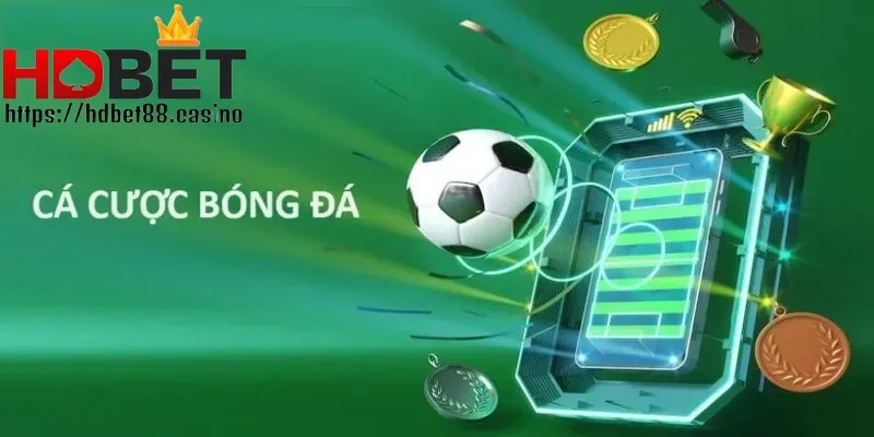 Người chơi cá cược được trải nghiệm hấp dẫn
