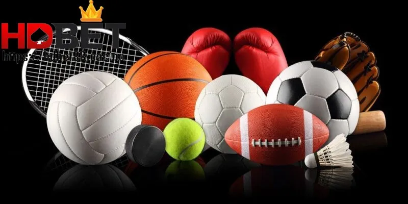 Nhà cái hỗ trợ cá cược đa dạng môn thể thao khác nhau