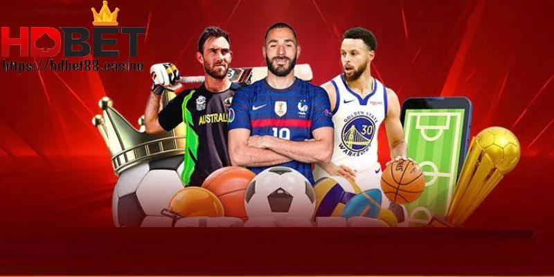 Nhà cái live betting sôi động
